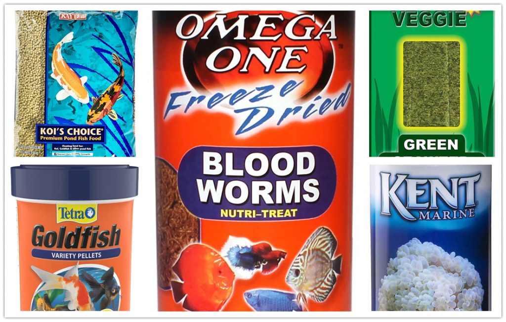 8 Excellent Fish Food Products You Can Buy Right Now